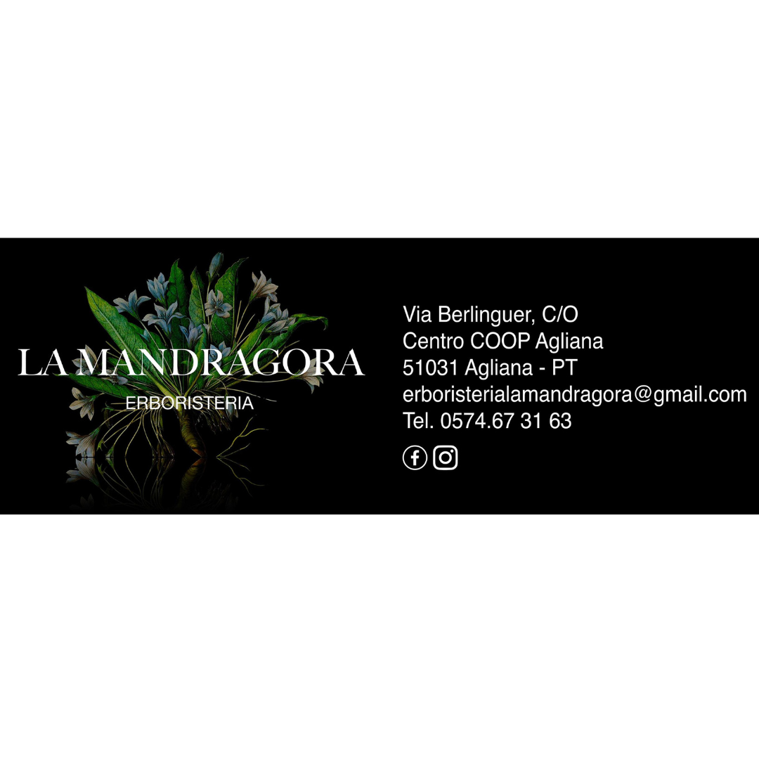 LA MANDRAGOLA